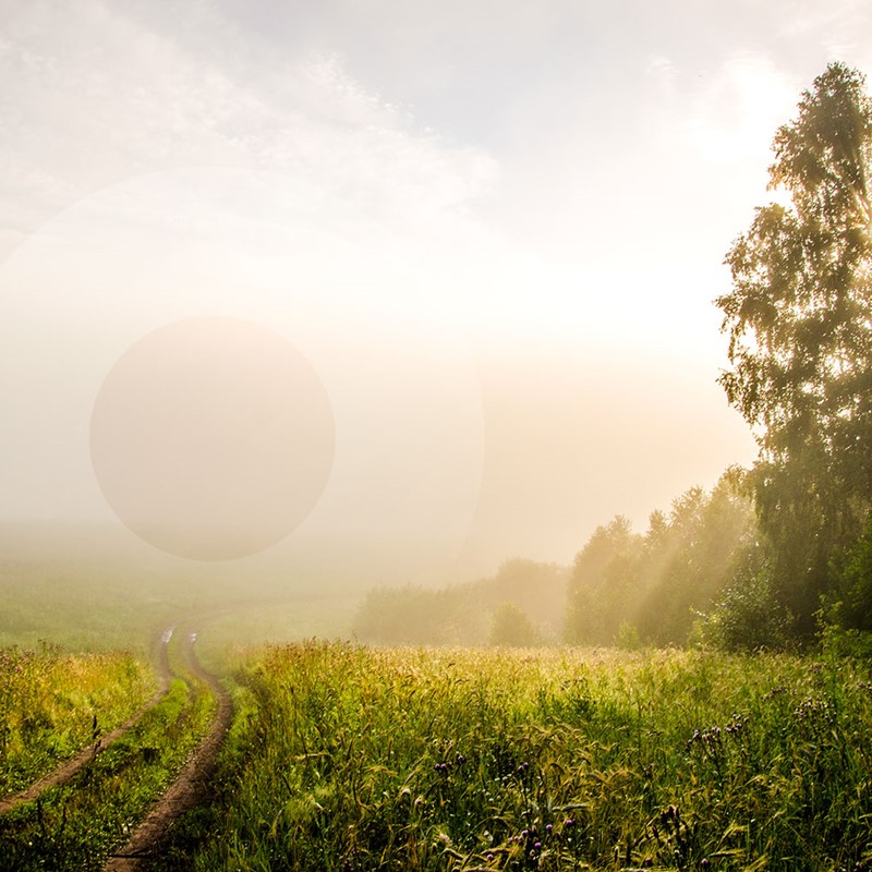 Stamborg Uitvaartzorg Verzekering