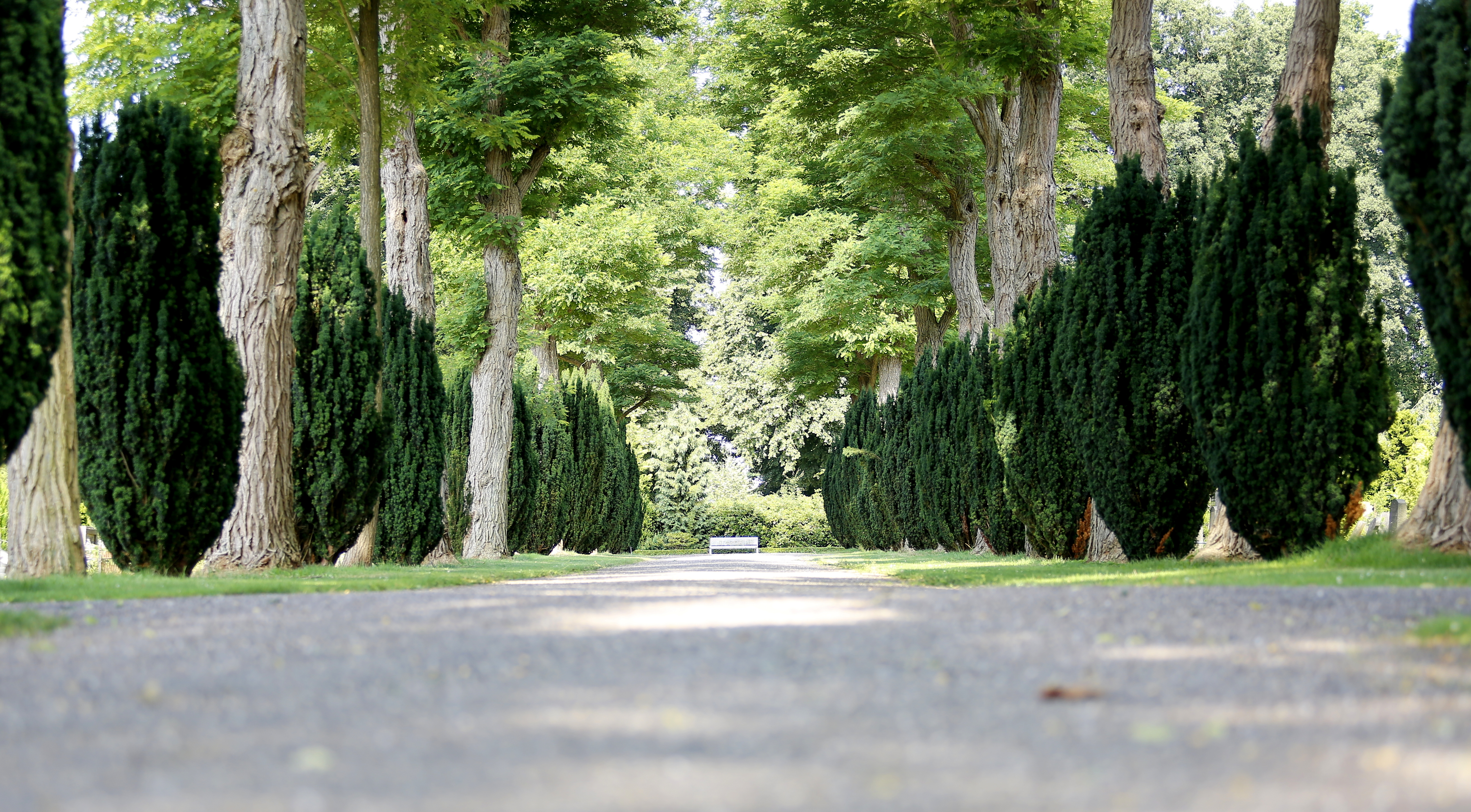 Oosterbegraafplaats Enschede