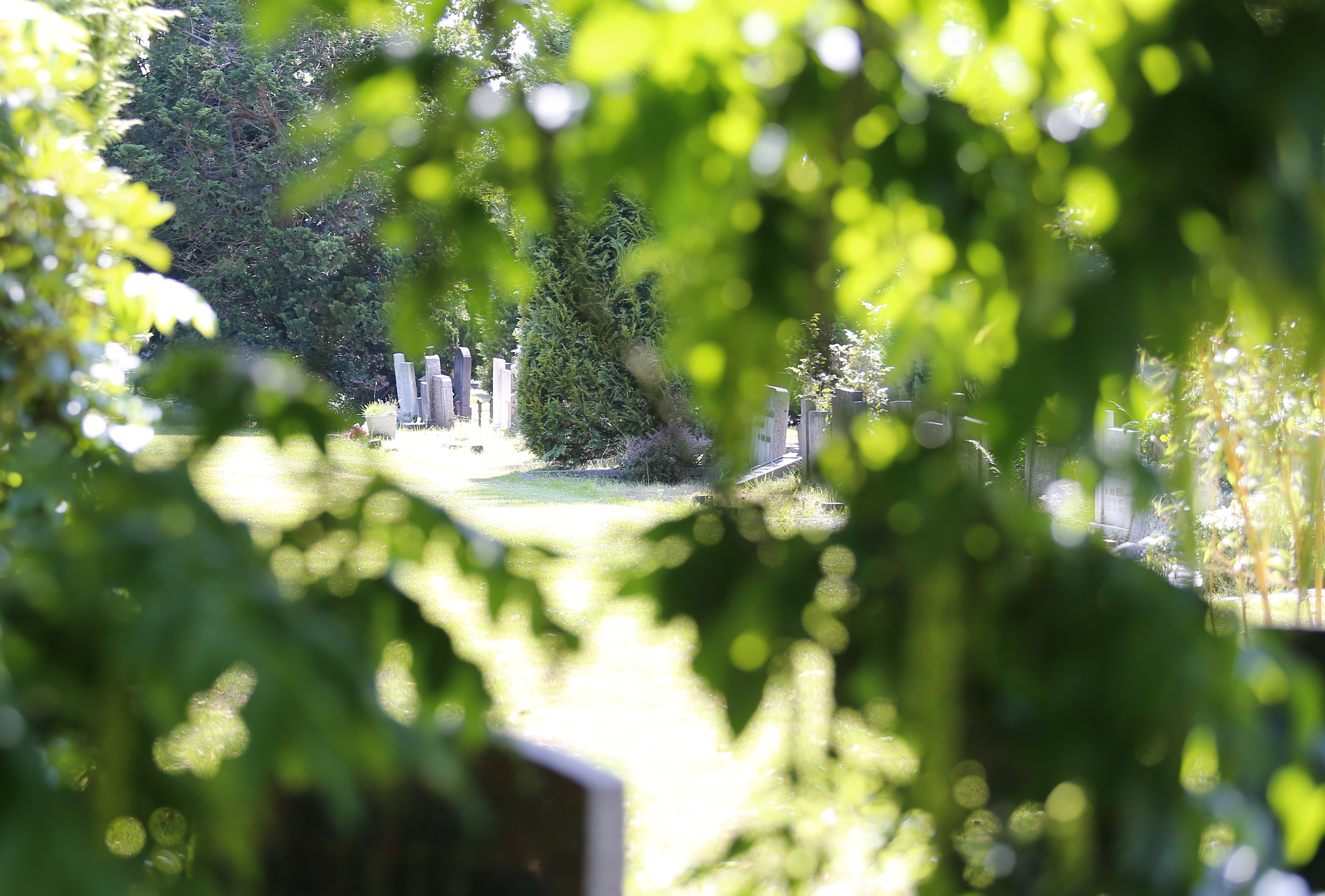 Oosterbegraafplaats Enschede
