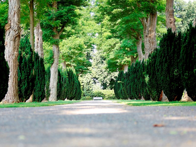 Extra maatregelen uitvaartbranche vanwege coronavirus